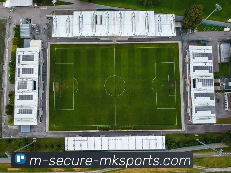 多媒体互动体验